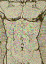 torso image